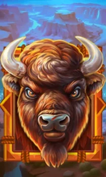 Buffalo Gold Canyon